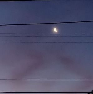 Meet your Posher, Elvira